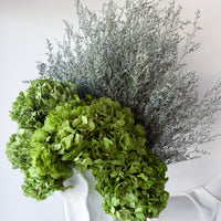 HARPER OMBRE-GREEN
