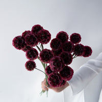 PRESERVED SCABIOSA | DEEP ROSE PINK