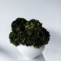 CHARLOTTE | OLIVE-GREEN PRESERVED HYDRANGEAS IN THEO VASE