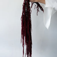 PRESERVED AMARANTHUS | BURGUNDY