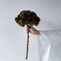 PRESERVED HYDRANGEA STEM I BRONZE I LARGE-LEAF