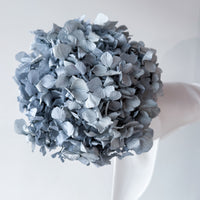 PRESERVED HYDRANGEA STEM I GREY I LARGE-LEAF