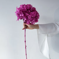PRESERVED HYDRANGEA STEM I FUCHSIA I LARGE-LEAF