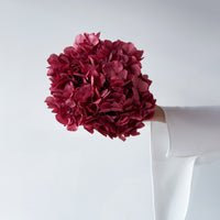 PRESERVED HYDRANGEA STEM I WINE RED I LARGE-LEAF