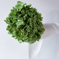 PRESERVED HYDRANGEA STEM I ARMY GREEN I LARGE-LEAF