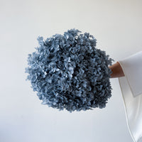 PRESERVED HYDRANGEA STEM I GREY-BLUE I SMALL-LEAF