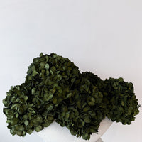 CHARLOTTE GREY-BLUE PRESERVED HYDRANGEAS IN THEO VASE