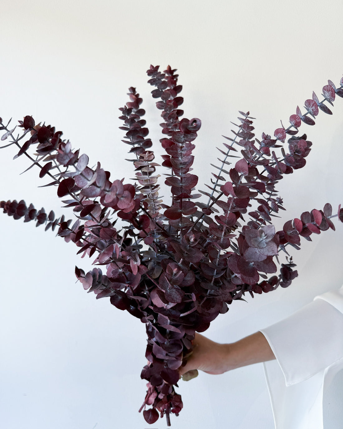PRESERVED GUM | BURGUNDY