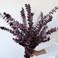 PRESERVED GUM | BURGUNDY