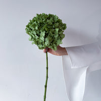PRESERVED HYDRANGEA STEM I ARMY GREEN I LARGE-LEAF