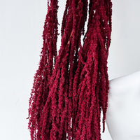 PRESERVED AMARANTHUS | WINE RED