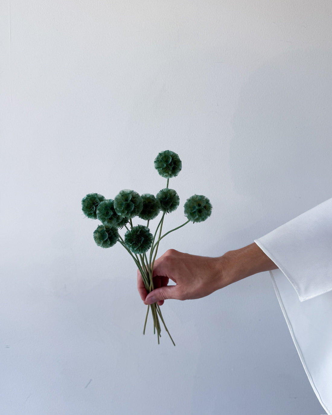 PRESERVED SCABIOSA | FOREST GREEN