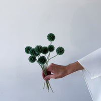 PRESERVED SCABIOSA | FOREST GREEN