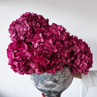 ALESSANDRA PRESERVED FLOWER ARRANGEMENT IN ASWAN VESSEL