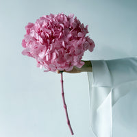 PRESERVED HYDRANGEA STEM I ROSE-PINK I LARGE-LEAF
