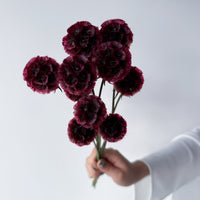 PRESERVED SCABIOSA | DEEP ROSE PINK
