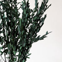 PRESERVED SMALL-LEAF GUM | DEEP SEA GREEN