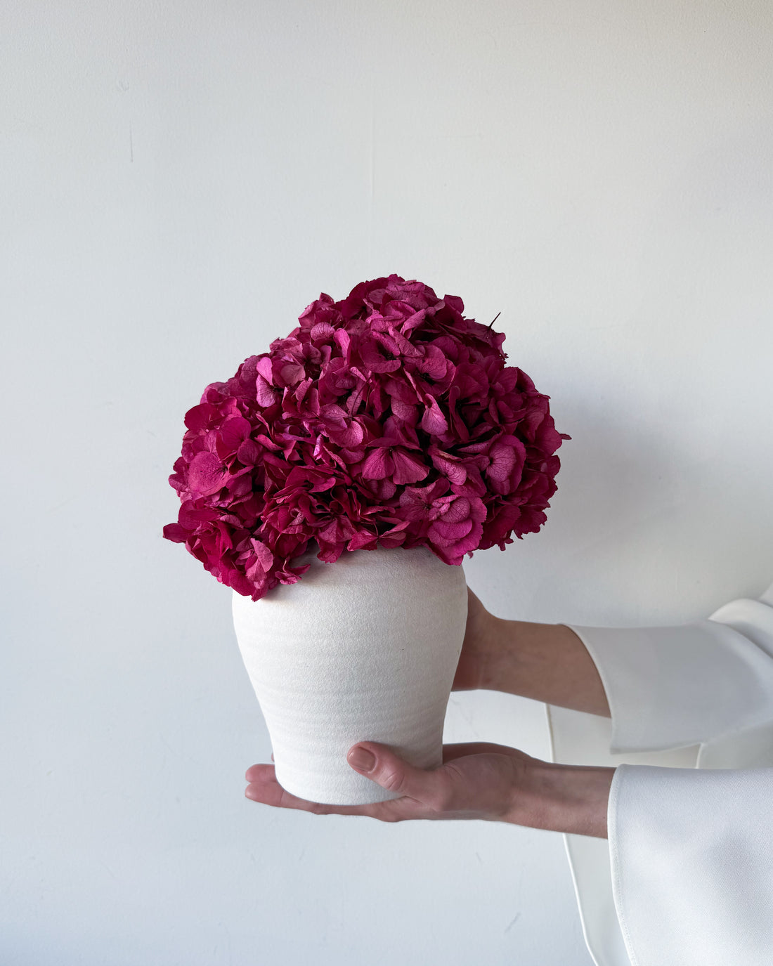 LUNA PRESERVED HYDRANGEA ARRANGEMENT IN WHITE HERAMA POT | FUSCHIA LARGE-LEAF
