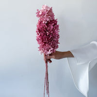 PRESERVED HYDRANGEA PANICULATA STEM I LIGHT OMBRE PINK
