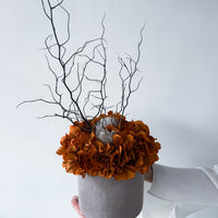 THE MAHA | LARGE-LEAF BURNT ORANGE