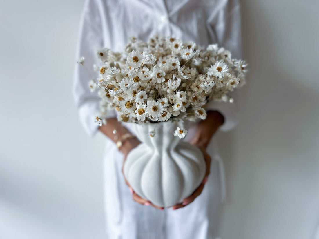 DAISY DREAM DRIED FLOWER ARRANGEMENT IN WHITE VASE - PRE ORDER DECEMBER