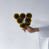 PRESERVED SCABIOSA | AUTUMN