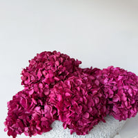 CHARLOTTE FUCHSIA PRESERVED HYDRANGEAS IN SALT CRUST COSSE VASE
