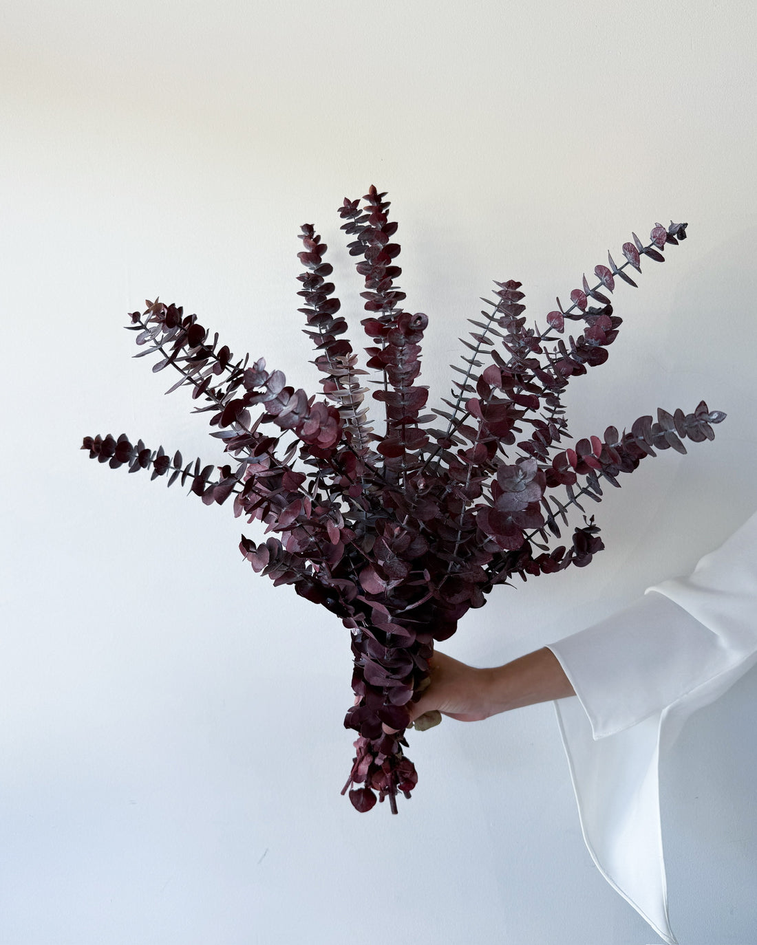 PRESERVED GUM | BURGUNDY