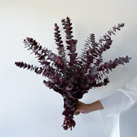PRESERVED GUM | BURGUNDY