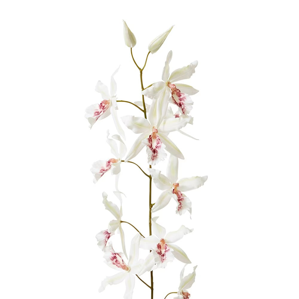ORCHID ONCIDIUM STEM | WHITE | SOFT-TOUCH