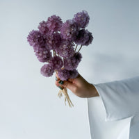 PRESERVED SCABIOSA | LILAC