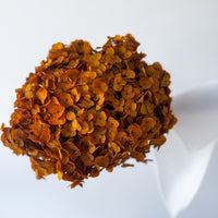 PRESERVED HYDRANGEA STEM | TOFFEE | SMALL-LEAF