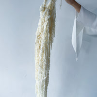 PRESERVED AMARANTHUS | IVORY WHITE