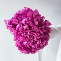 PRESERVED HYDRANGEA STEM I FUCHSIA I LARGE-LEAF