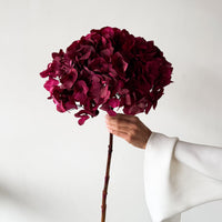 PRESERVED HYDRANGEA STEM I RASPBERRY I LARGE-LEAF