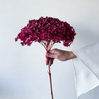 PRESERVED HYDRANGEA STEM I DEEP FUCHSIA I SMALL-LEAF