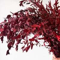 PRESERVED SMALL-LEAF GUM | MARONE-RED