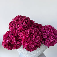 CHARLOTTE FUCHSIA PRESERVED HYDRANGEAS IN SALT CRUST COSSE VASE