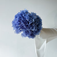 PRESERVED HYDRANGEA STEM I LAKE BLUE I LARGE-LEAF