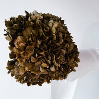 PRESERVED HYDRANGEA STEM I BRONZE I LARGE-LEAF