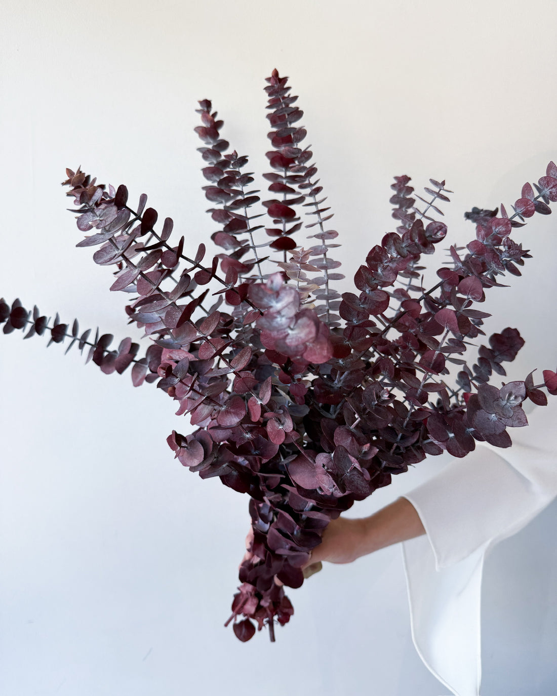 PRESERVED GUM | BURGUNDY
