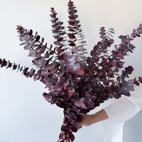 PRESERVED GUM | BURGUNDY