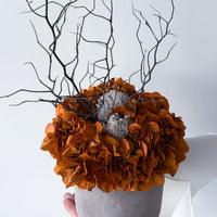 THE MAHA | LARGE-LEAF BURNT ORANGE