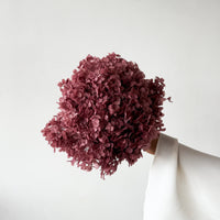 PRESERVED HYDRANGEA STEM I DEEP BLUSH | SMALL-LEAF