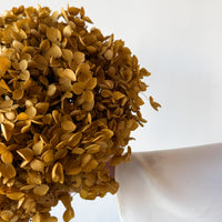 PRESERVED HYDRANGEA STEM | NATURAL | SMALL-LEAF