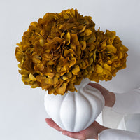 AURELIA PRESERVED AUTUMN HYDRANGEA IN WHITE VASE