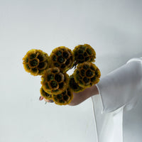 PRESERVED SCABIOSA | AUTUMN