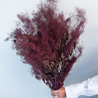 PRESERVED SMOKEBUSH