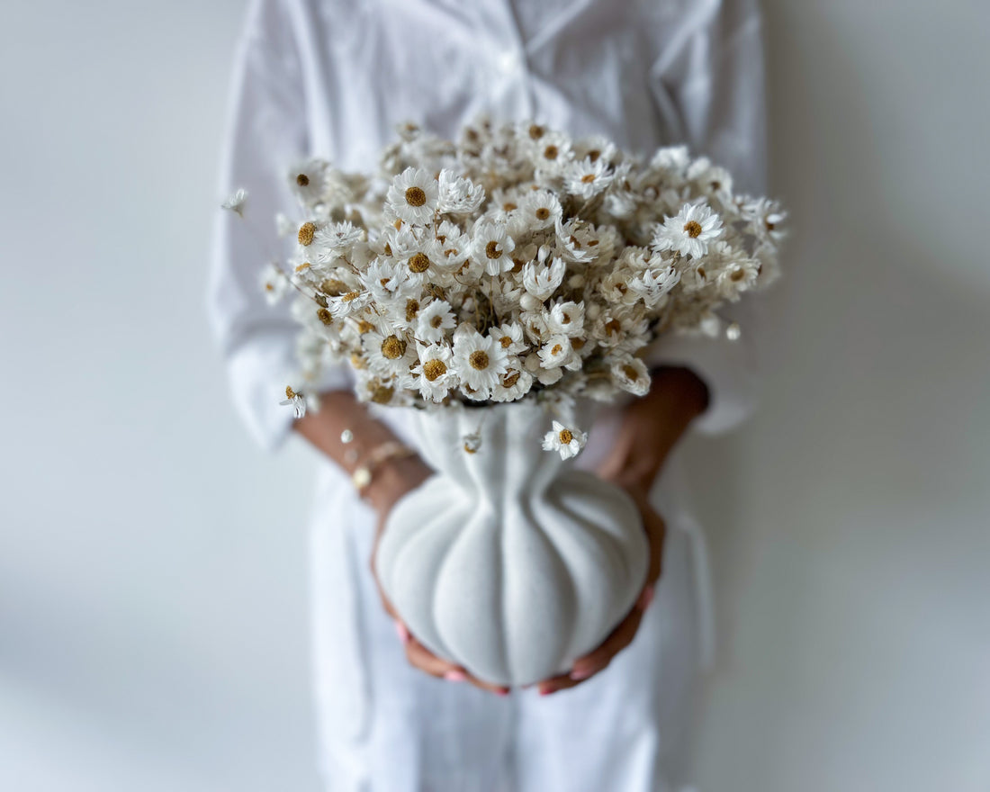 DAISY DREAM DRIED FLOWER ARRANGEMENT IN WHITE VASE - PRE ORDER DECEMBER