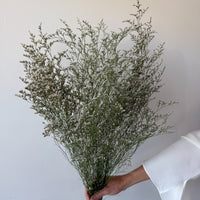DRIED MISTY | NATURAL